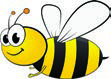 Photo des produits